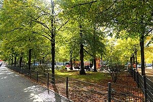Herbstliche Baumallee im Samariterviertel Eine grüne Allee im Samariterviertel, wo die Sonne durch die dichten Blätter der Bäume scheint. Im Hintergrund sieht man einen Spielplatz mit roten Schaukeln. Der Boden ist mit herbstlichem Laub bedeckt.