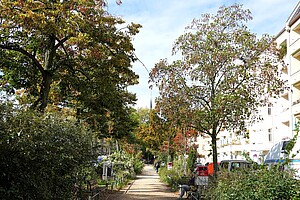 Spazierweg durch herbstliche Gärten im Samariterviertel Ein schmaler Sandweg führt durch eine von Bäumen gesäumte Allee. Die Bäume sind bereits herbstlich verfärbt, und im Hintergrund sind die Spitzen von Gebäuden zu sehen. Am Rand des Weges stehen Bänke und einige parkende Autos.